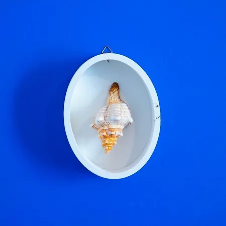 Bed and breakfast Terra Del Sole Trani